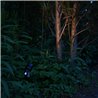 6W LED Tuinspot "Cypress" Warm Wit 12V IP68