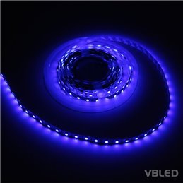 Striscia LED 5m blu 12VDC IP20