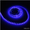 Striscia LED 5m blu 12VDC IP20