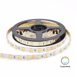 Tira LED 5m azul 12VDC IP20