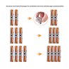30Pcs Premium One-to-One Connector Clamp (Free Combination)