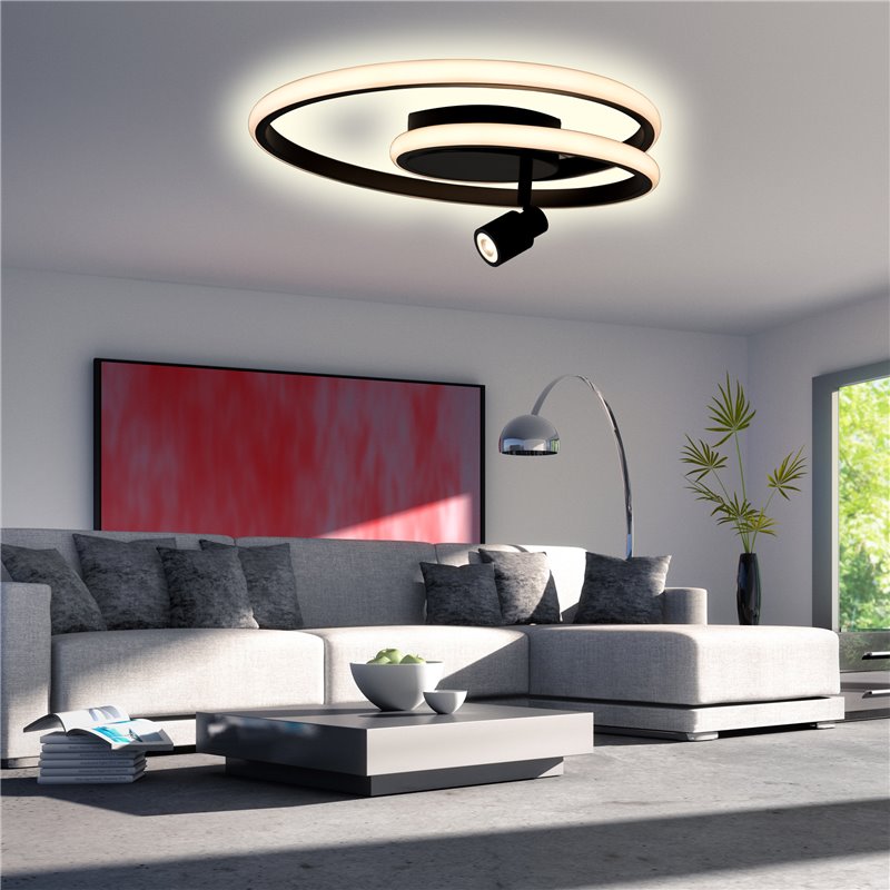 Rgbw sales ceiling light